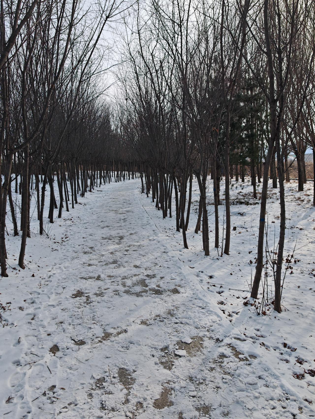 与痛风斗争的历程96早上起床，天气晴朗，浑身各关节顺畅，没有不舒服感