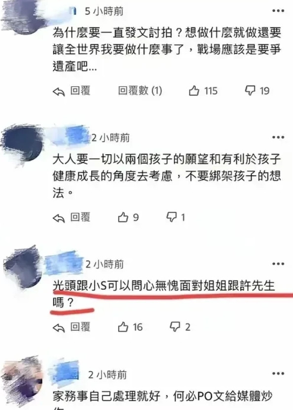 S妈一句“我们一起为大S讨回正义”，竟然砸出了台湾人民不吐不快的心声和一些只有他