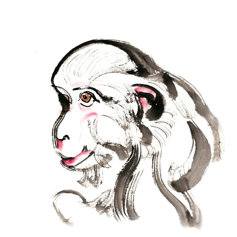 生肖猴的朋友们，必须听的一句话是：别太聪明反被聪明误！猴儿们头脑灵活，机智过人，