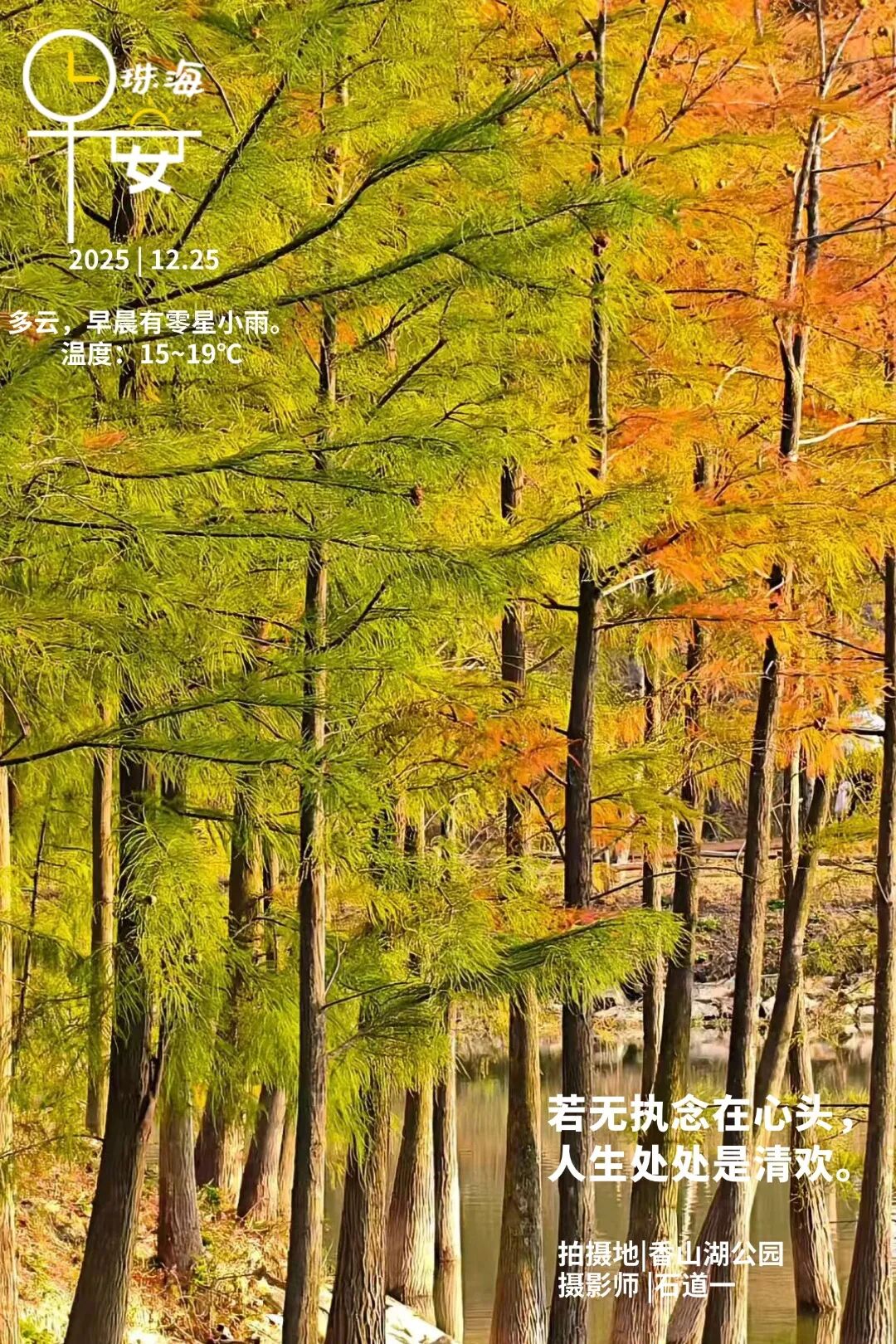 降温! 大风! 珠海最低12℃! | 早安 珠海