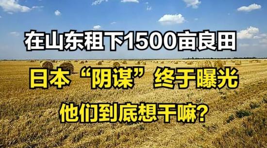 日本人以十五亿日元的价格，在山东租下1500亩地，但奇怪的是地里啥庄稼都不种