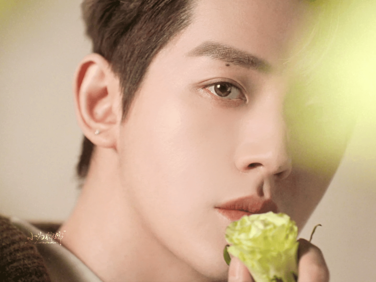 邓为最新品牌大片截图，好精致立体的侧颜，太帅了！！