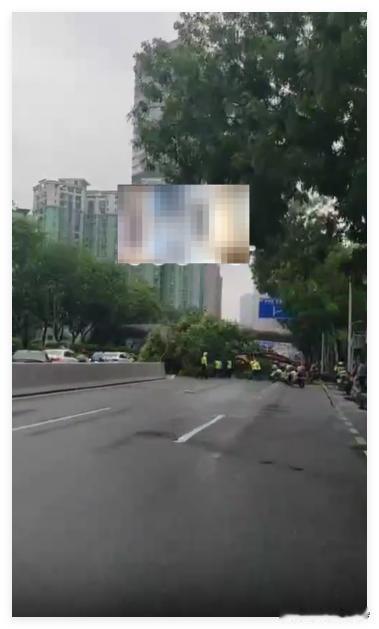 这几天，广州的风雨太猛了！威力十足啊！ 5月20日天河区街坊爆料：天河东路往