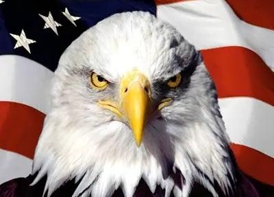 美国你别演了，我们不傻！扣船，整稀土链儿，拉拢小团伙，美国歇两天就要找中国的事，