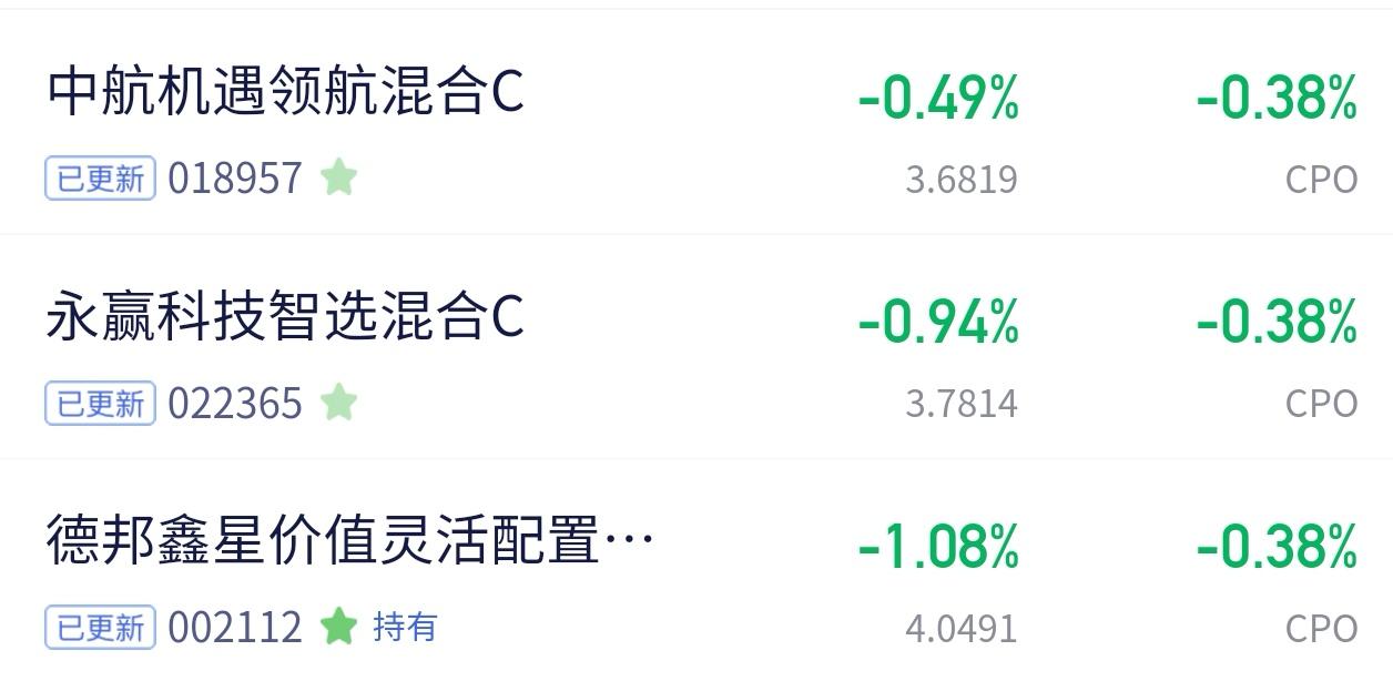 CPO这波小回调，我觉得稳得很✨刚吃完饭就来刷净值啦，咱们持有的这几只CP