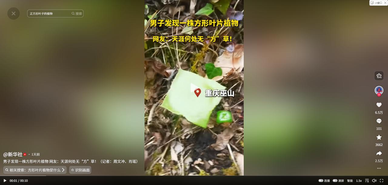 5月4日，新华社报道一名男子五一假期去重庆巫山爬山，爬到半山腰的时候低头一瞅，竟