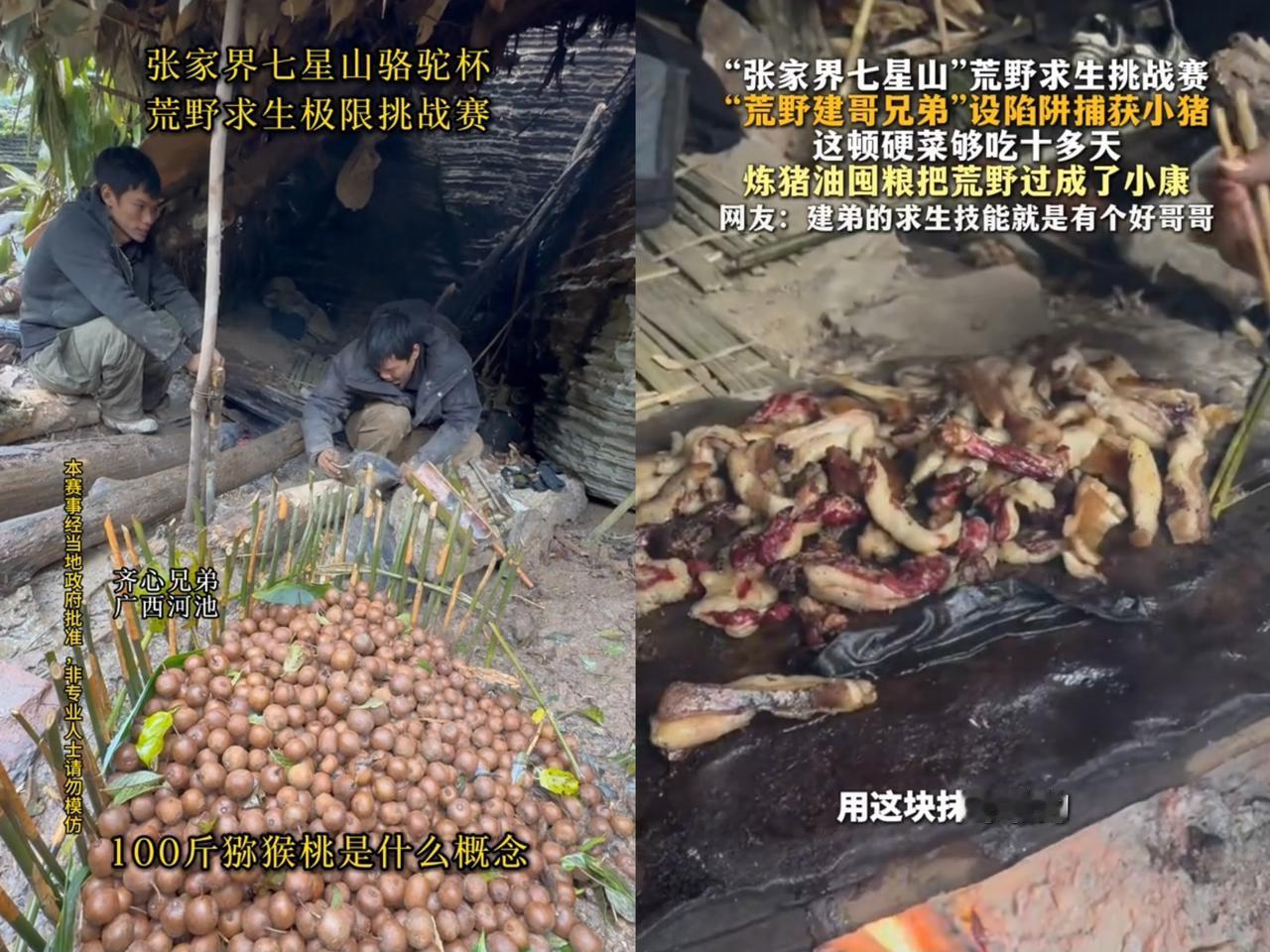 我跟你们说，以后荒野求生节目组，估计都得禁止广西人报名啦！为啥呢广西人的野