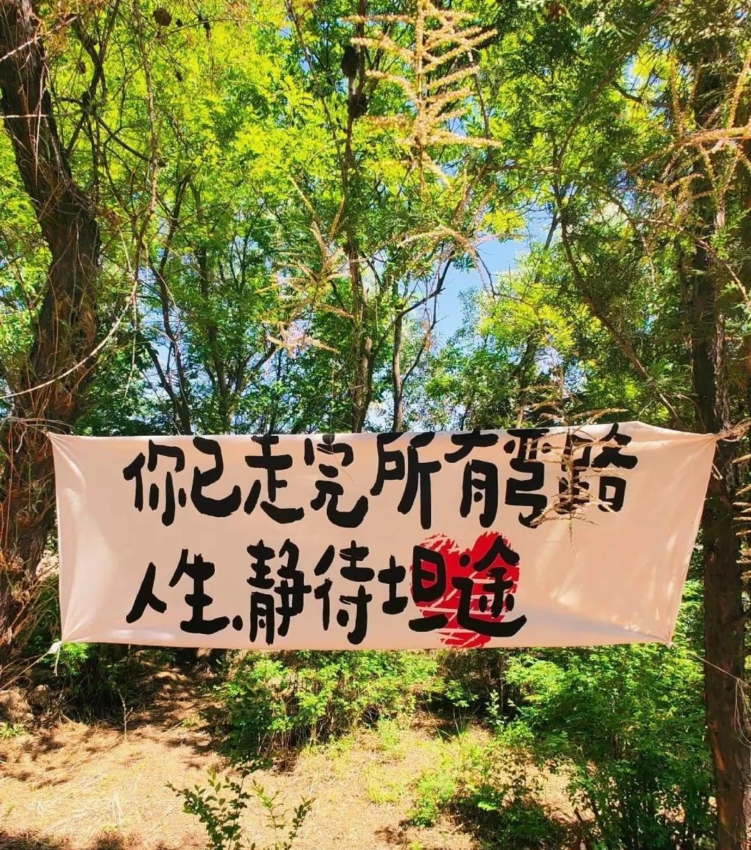 我估计着友友们都和我一样的操作[大笑]我们已经走完所有的弯路了，静待