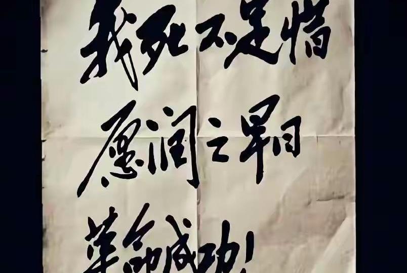 “我几天都合不上眼，我快要疯了。”“谁把我的信带给他，谁就是我的恩人。”这些