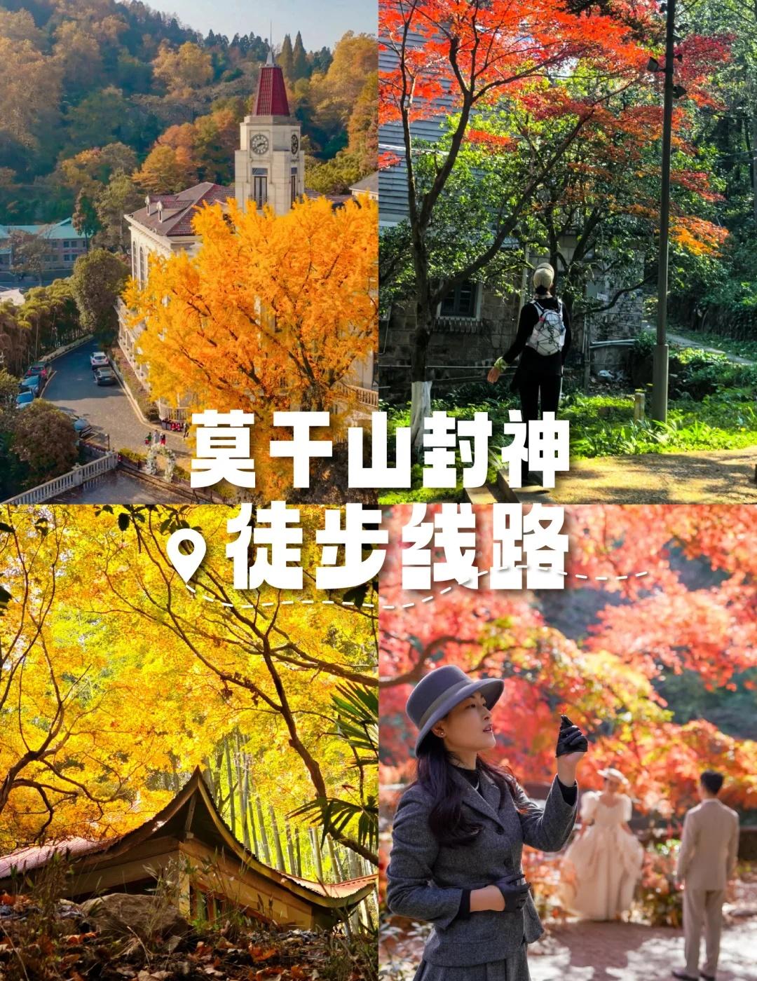 🔥莫干山景美不累的保姆级游线📢一年就这一个月！莫干山红枫、银杏撞满屏🍁