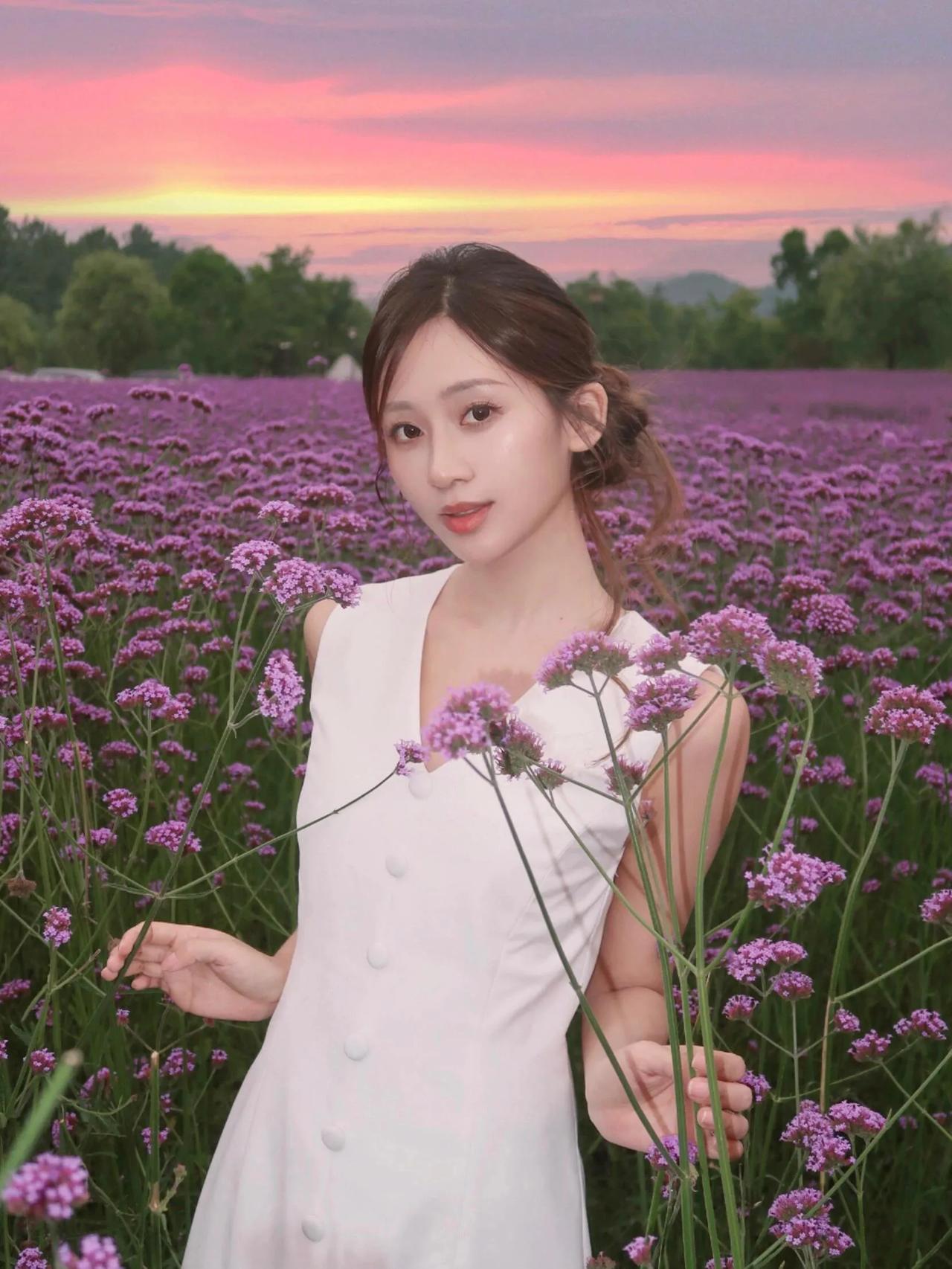 少女漫步在紫色花海