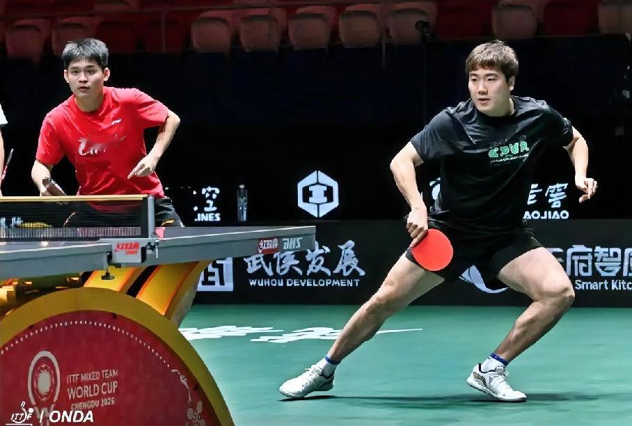 梁靖崑、林诗栋男双有希望吗？成都混团马上开赛，在训练场看到甜甜和小石头在练