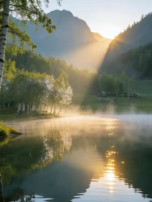 发人深省的一段话：“看动物世界，你会发现一个有趣的现象：食草动物一直在低头吃草