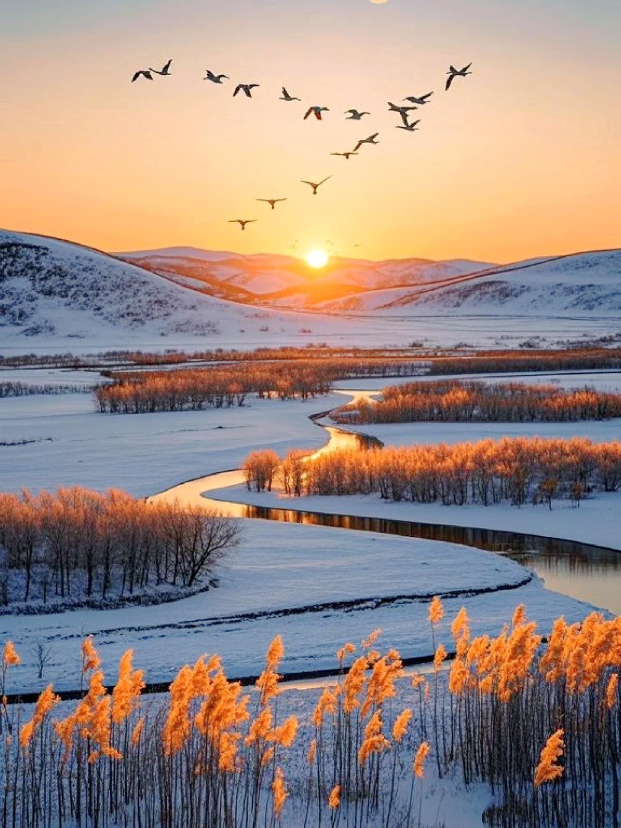 谁能想到今年冬天竟打破了所有老辈的经验！28年一遇的冬月藏三九，本该冰天雪地的数