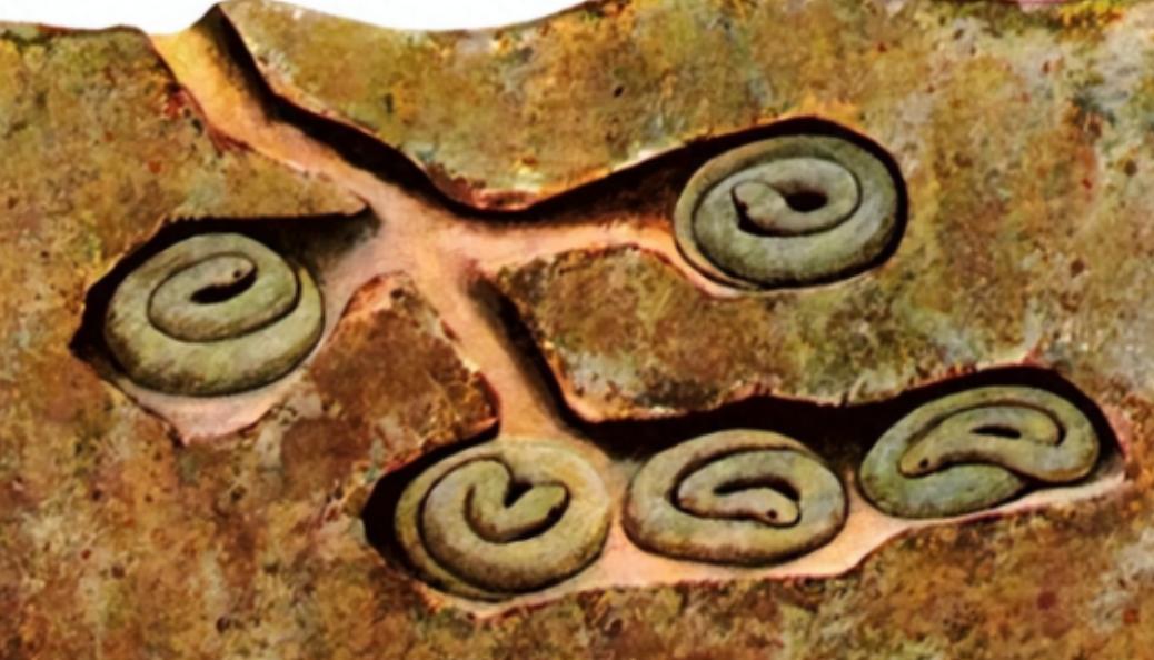 蛇冬眠的时候有多危险？老捕蛇人曝真相：90%的人不知道，昔日鼠类天敌，寒冬