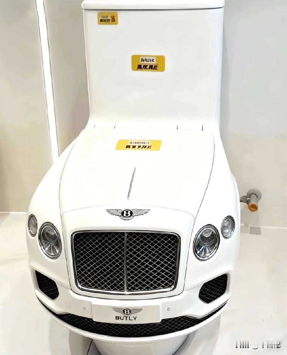 有钱人的马桶都感觉很贵，你觉得这里面有真的吗？