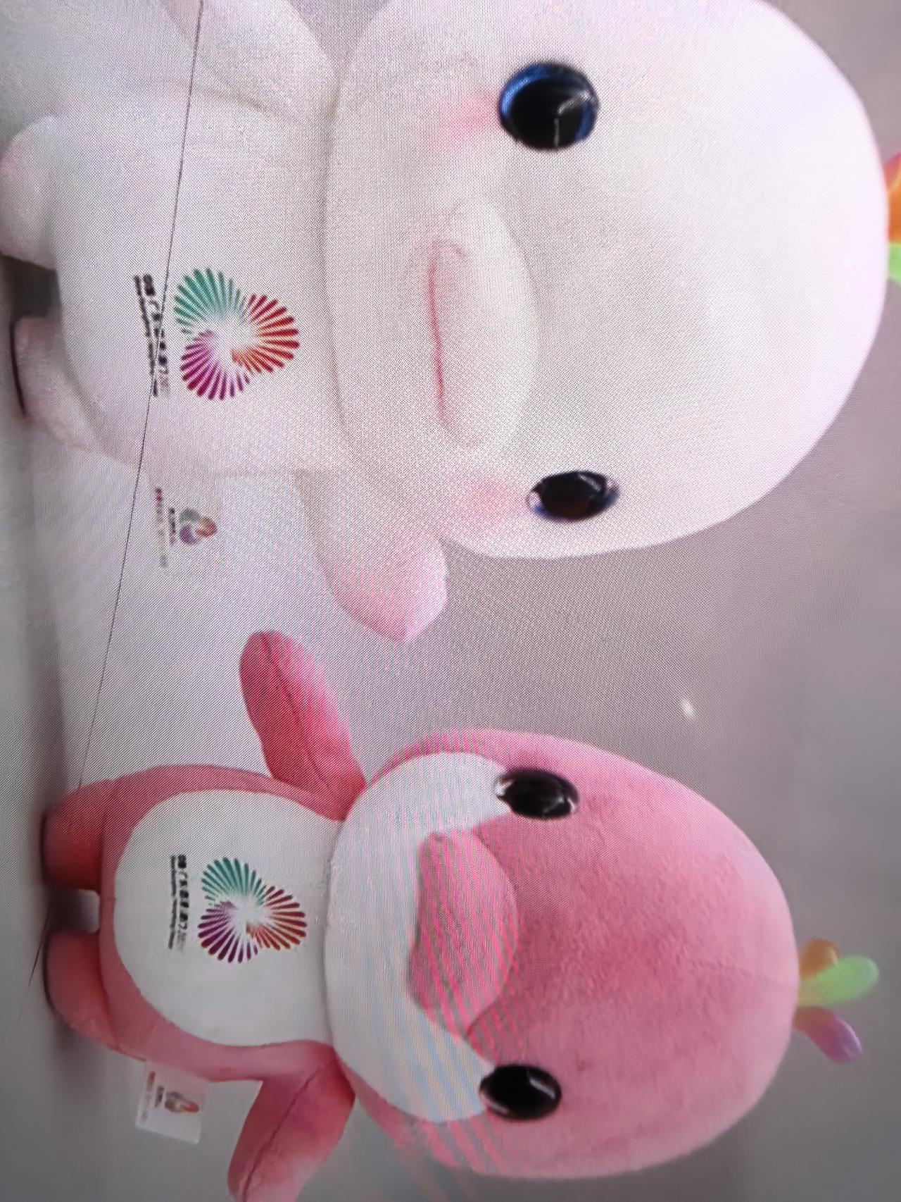 同事今年才28岁，刚刚怀孕三个月，老公几天前因为意外去世了，她婆婆公公说给她五十