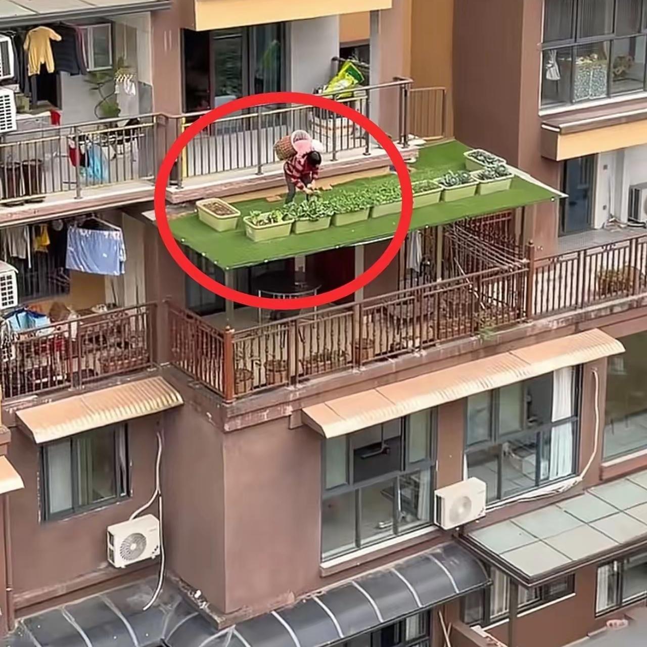真的越看越心惊！重庆一位老人为了省空间、吃上新鲜菜，居然在5楼雨棚上搭起了空