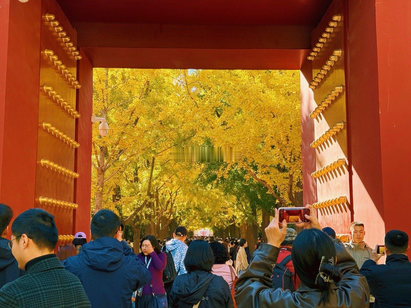 地坛公园秋色浓摄影​​​