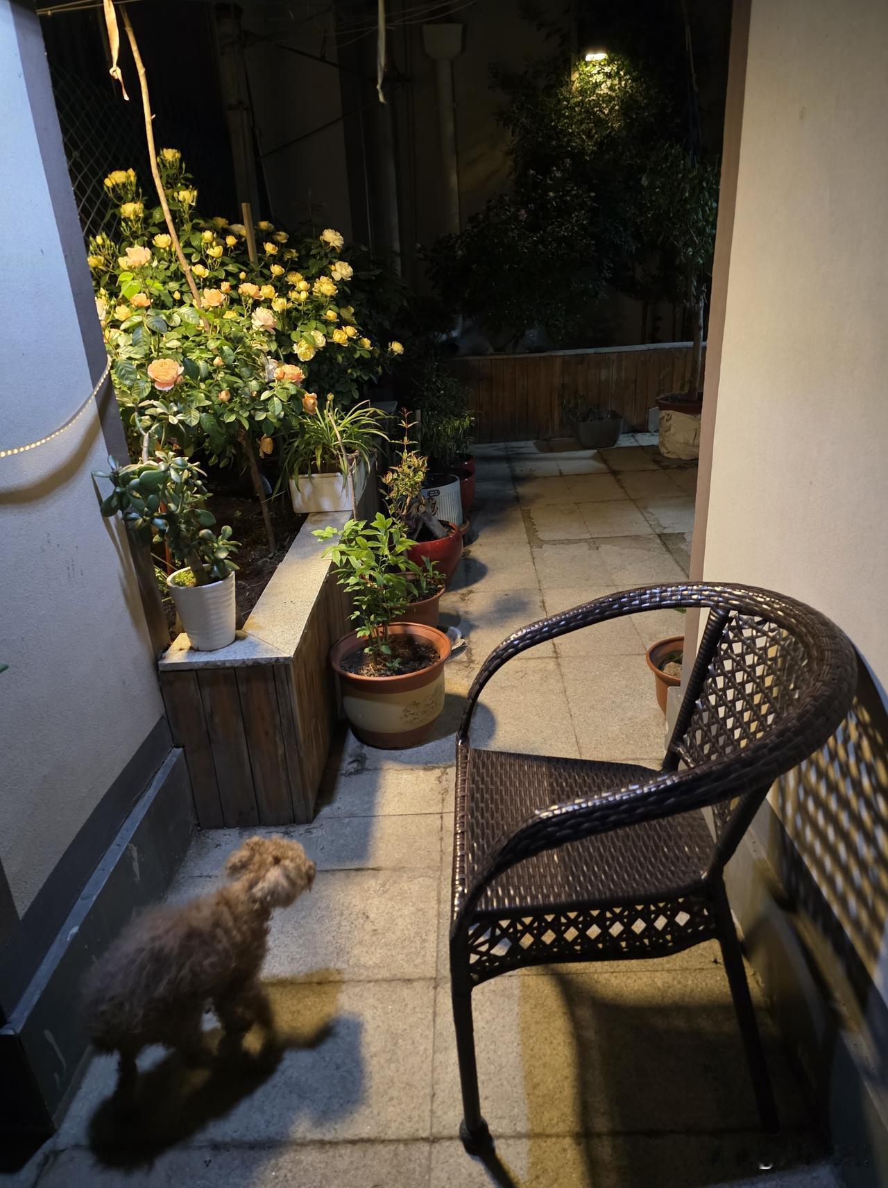 女儿的消息让我高兴……昨天女儿来电话，告诉我这个假期的安排，今年五一不外出旅