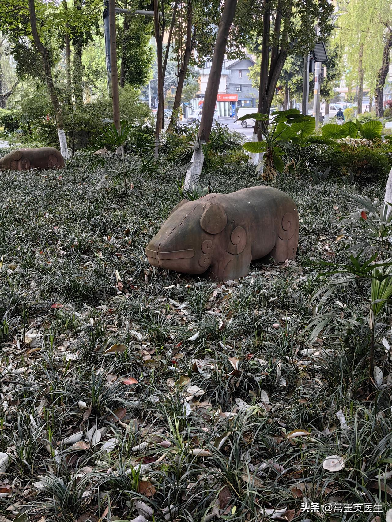 谁能告诉我这是什么？