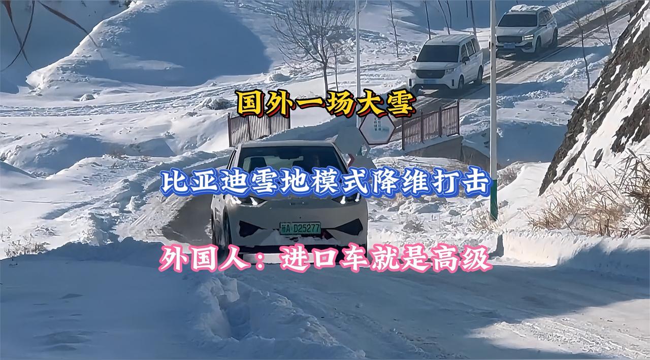比亚迪雪地模式降维打击！大雪中展现技术实力，外国人直呼进口车高级