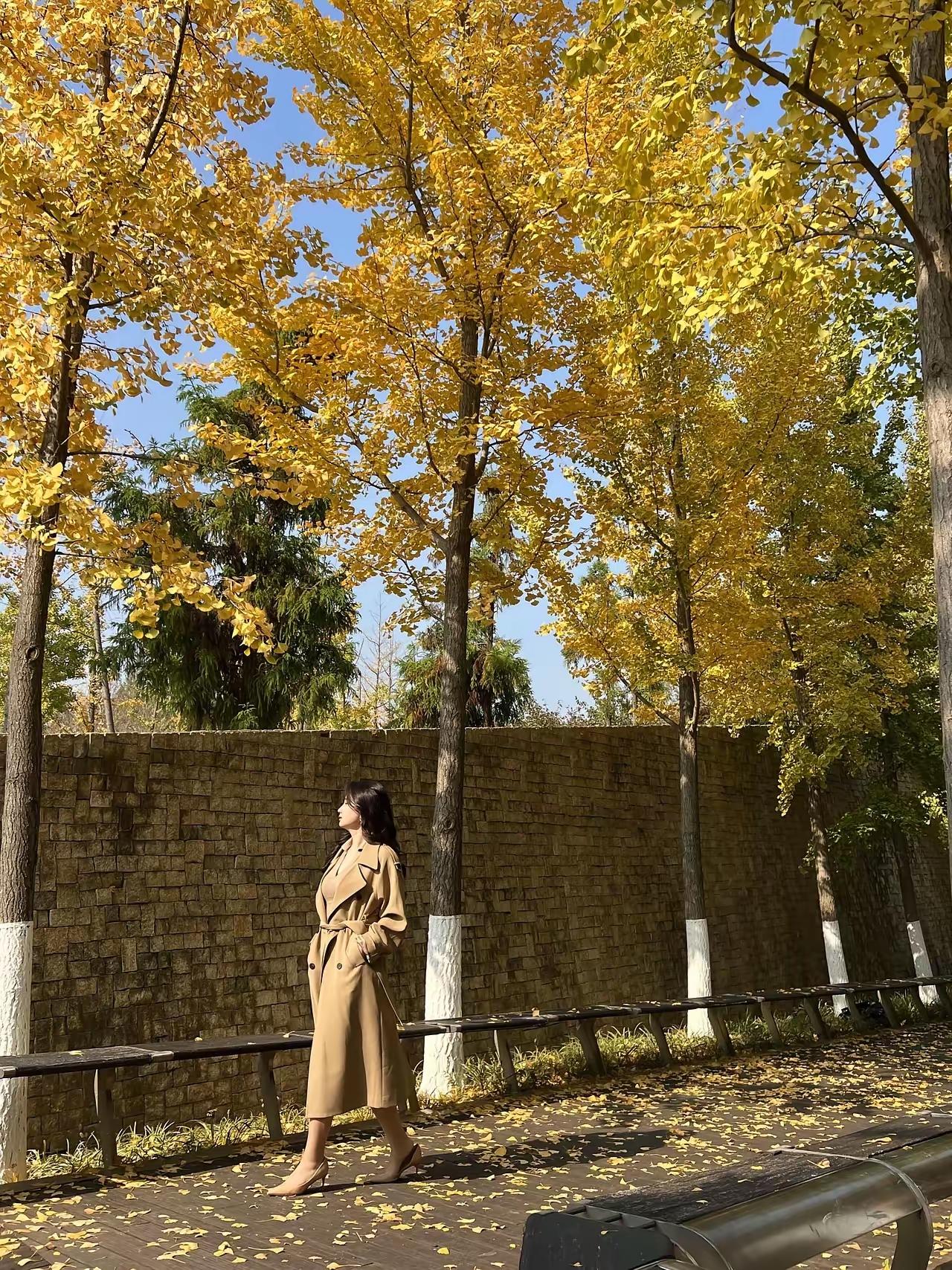 你认为最有气质的美女是谁？