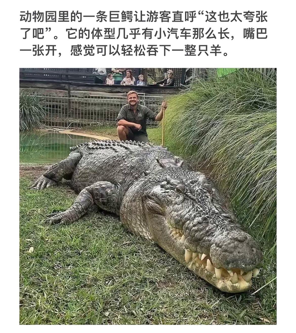 游客直呼太夸张！