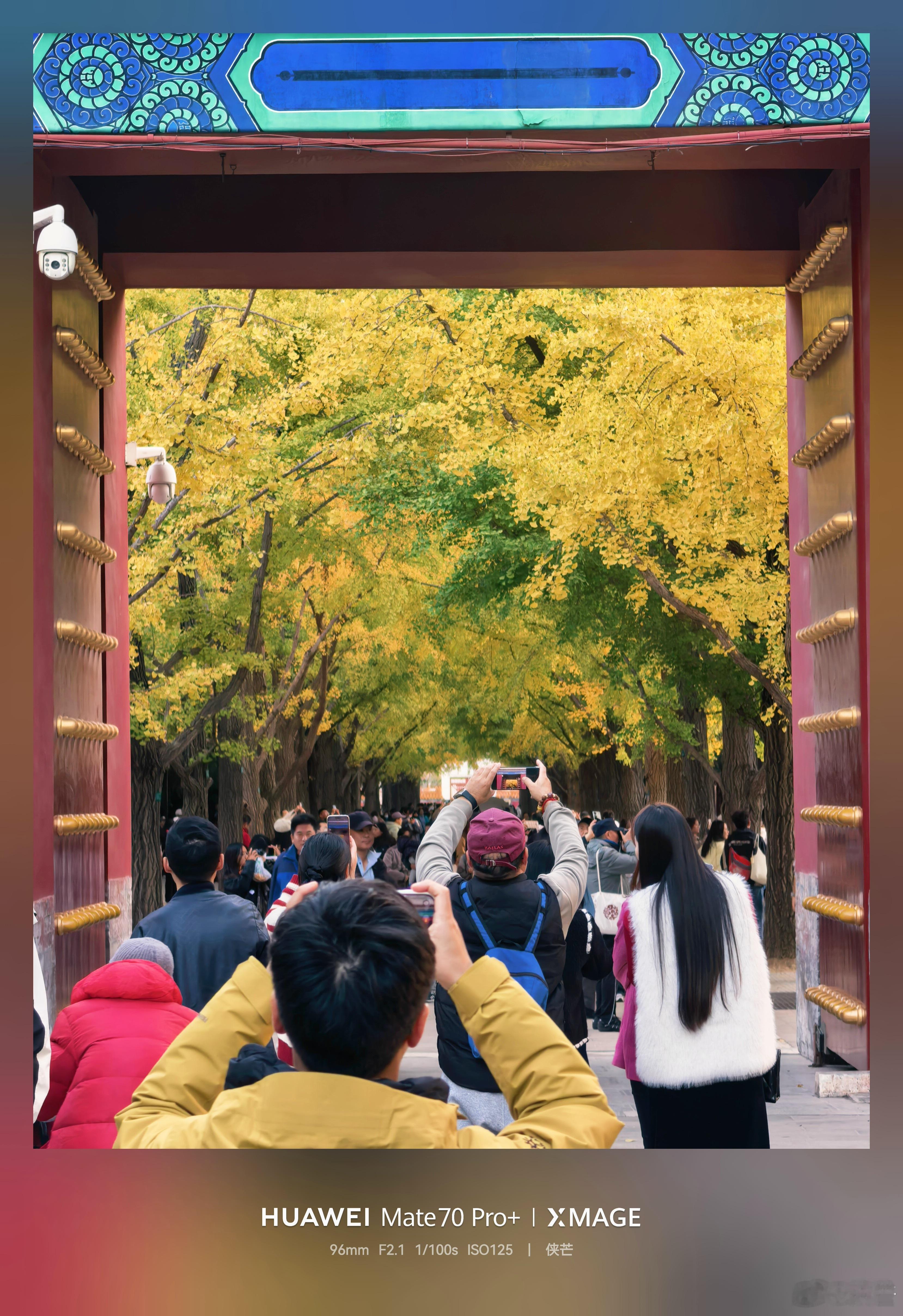 秋染地坛        秋意浓，漫天金黄舞秋风。        来地坛吧，在这个