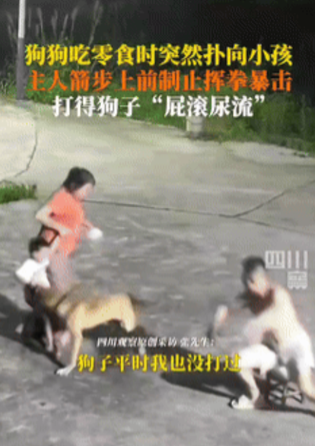 打的解气！”湖南，男子喂狗时，不料大狗忽然扑向孩子抢零食，孩子妈妈吓得抱孩子尖叫