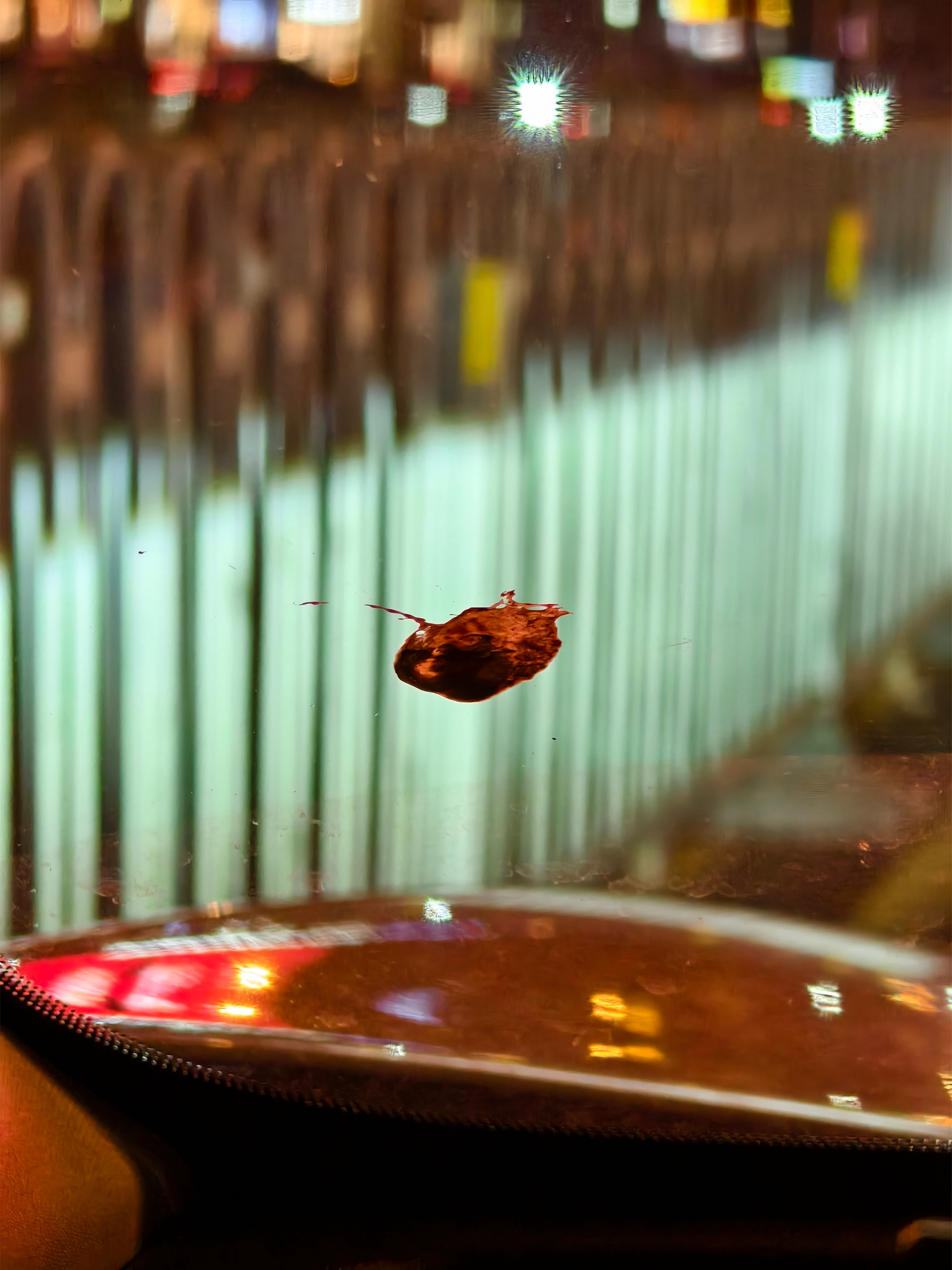 为啥这些鸟天天就盯着我的车拉呢？