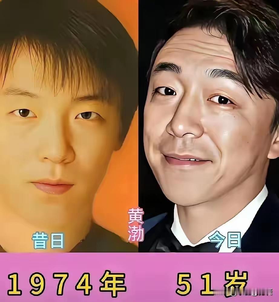 黄渤、沈腾、邓超、陆毅都老了：这11个男明星昔日帅照曝光，谁的变化最大？陆毅