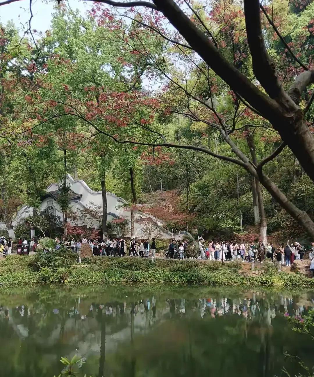 8条加绒裤白买了！我去年冬天靠它们活命，今年一看账单，一条均价129，8条