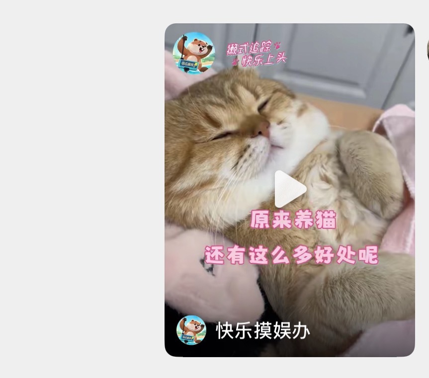 要把猫咪带回家了，我每天就这样给我妈洗脑