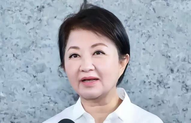 炸锅了！6月29日，台中市长卢秀燕令人惊讶地表示，“国民党团要提出无人机的条