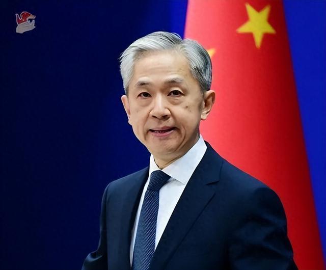 为什么很多小国家都敢跟中国翻脸不怕中国？敢说真话的蔡正元教授一话点破：中国雄而不