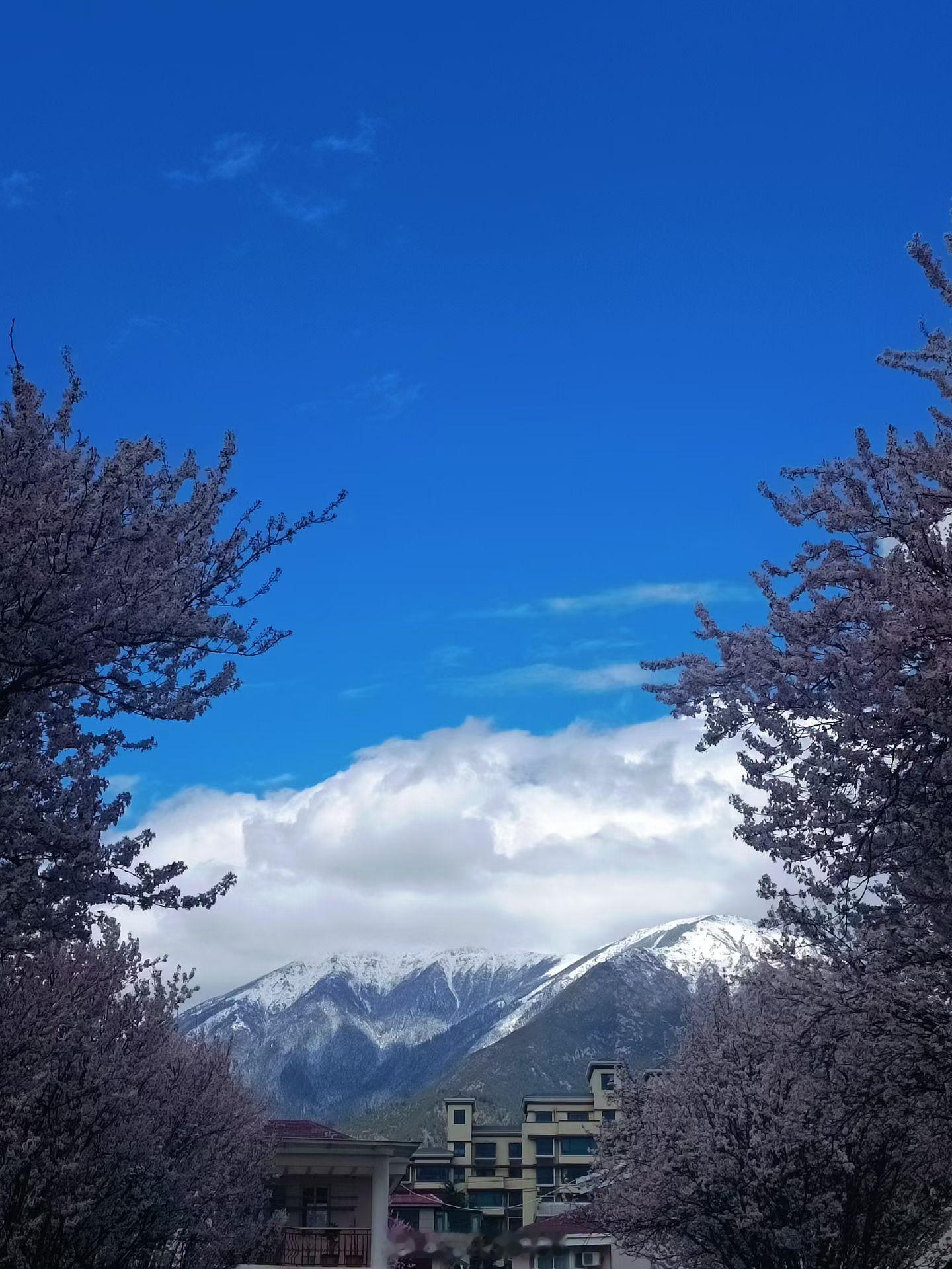 4周日下周总体前瞻：多氟多：财报喜讯，随波上攻金螳螂：题材降