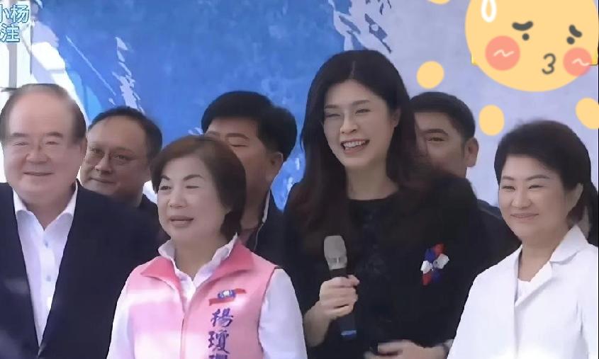 郑丽文卢秀燕终于同台了借助台中党部庆典这个契机，郑丽文带副主席李乾龙，卢秀燕携