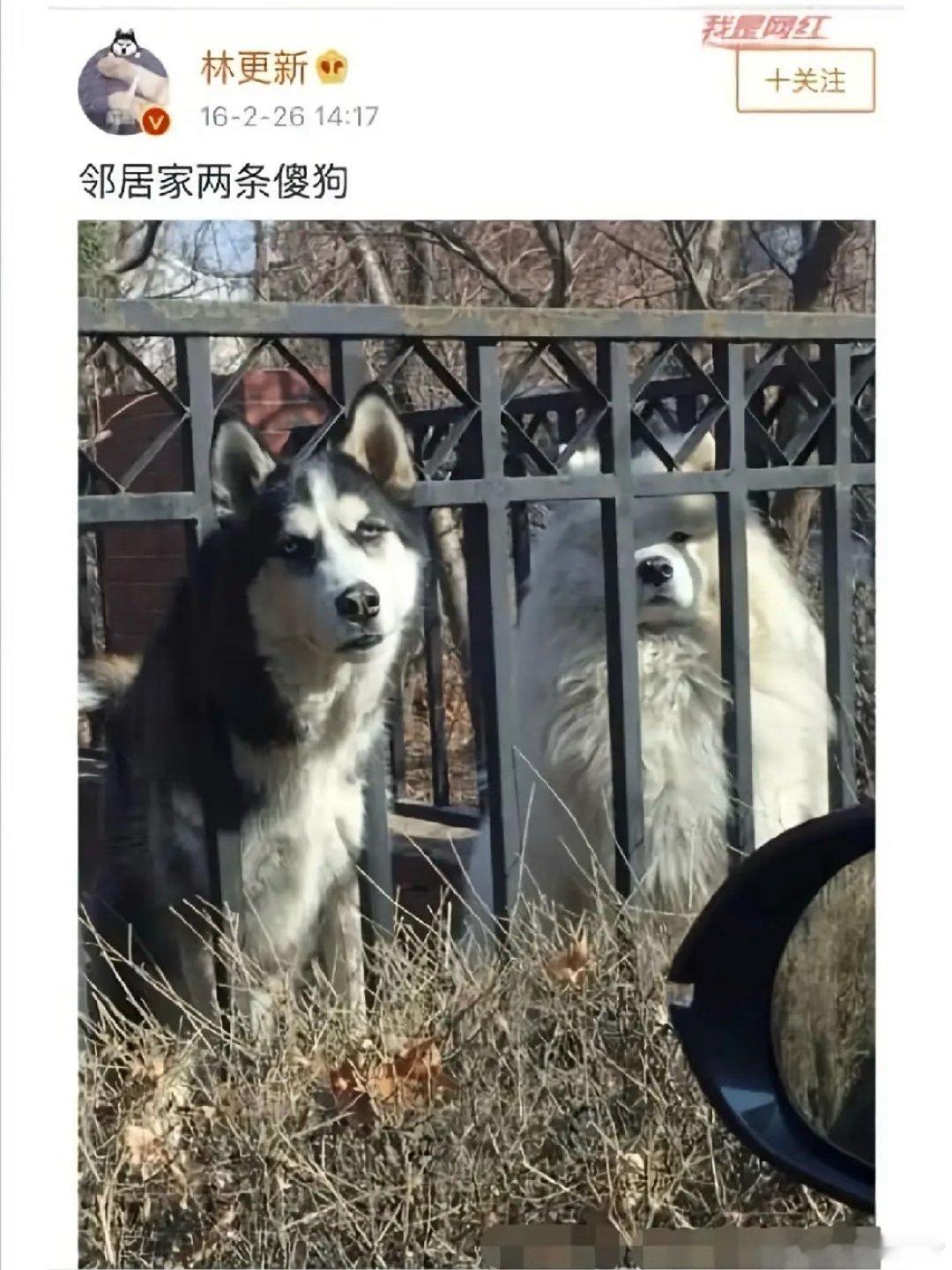 微博早期的明星都好有活人感​