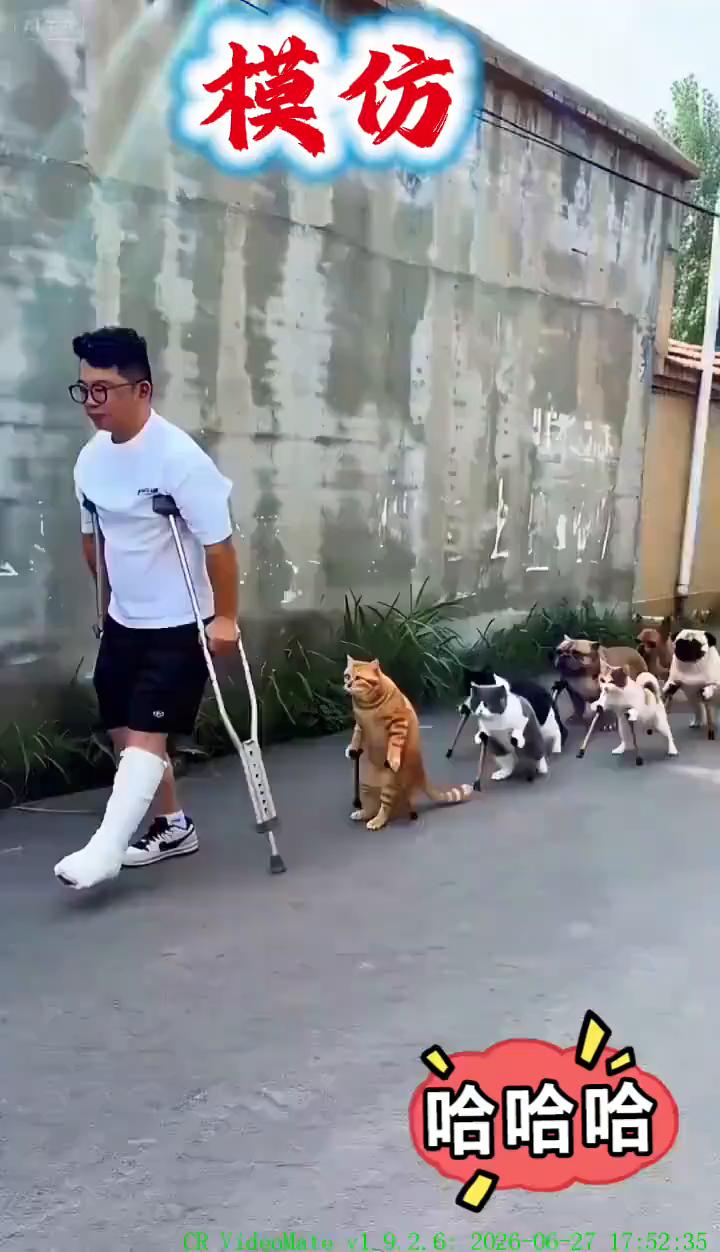 模仿。即梦。