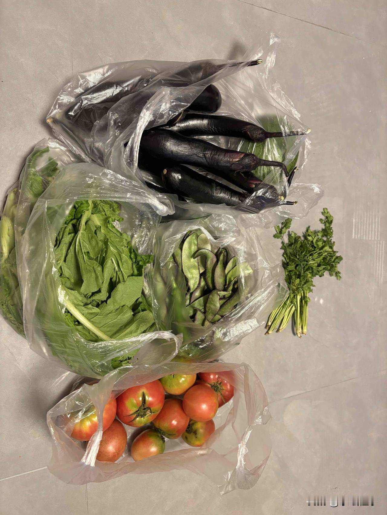 今天下午五点多，在岳阳街附近买的菜，茄子1元一斤，西红柿2元一斤，猪耳朵豆角3元