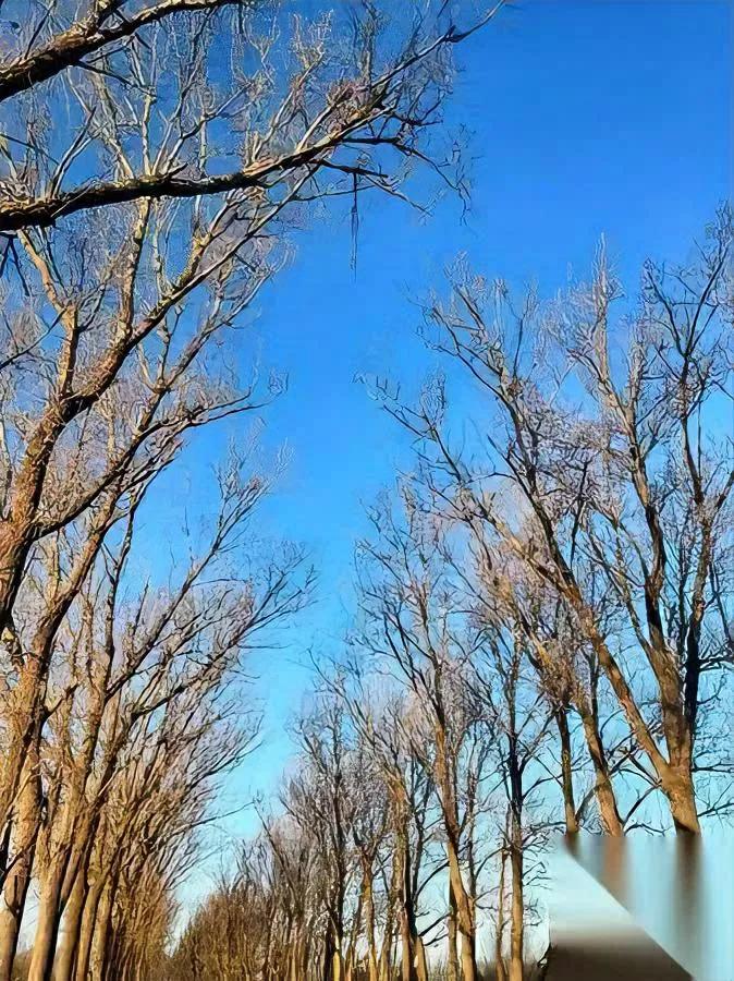 亲戚越来越难聚？90后00后早看透了现在走亲戚，早不是拎袋水果唠嗑的画风