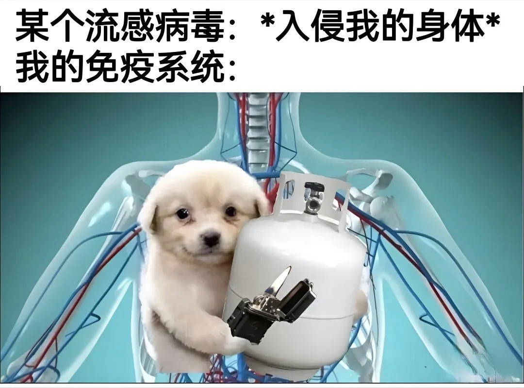 让病毒见识一下谁才是这具尸体的主人​​​