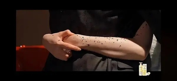 第五季｜再说一个吧柳给周订了最贵的花写了贺卡民宿开业拥抱是真瓜就是这张图仔细看柳
