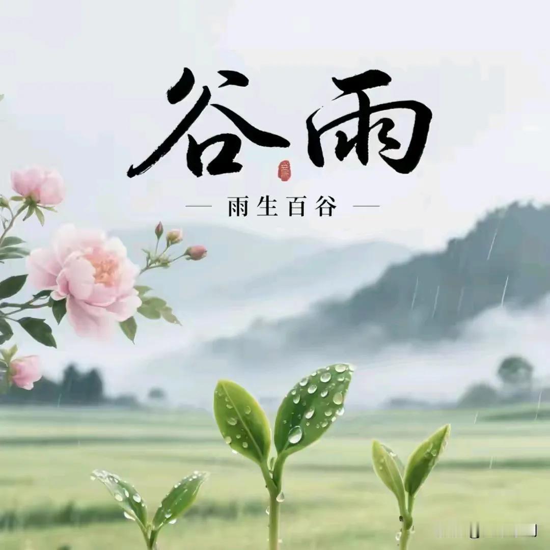 《谷雨》谷雨润诗行乡间采茶忙清风送花香布谷岂等闲田园诗歌分享