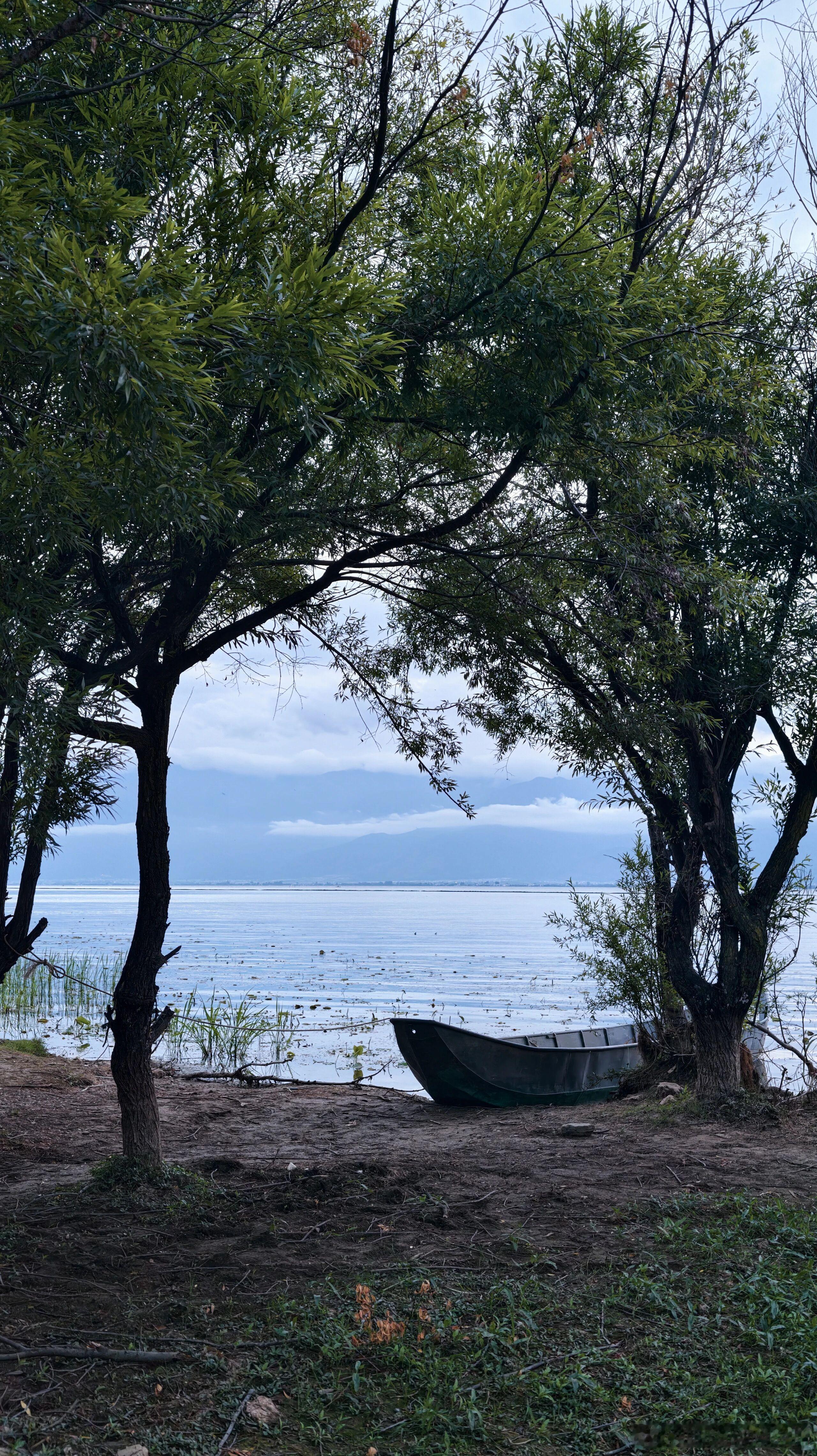 应该会很想念在海边发呆的时刻大理·洱海