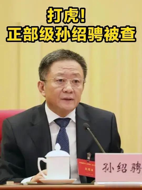 【孙绍骋，被“双开”】经中共中央批准，中央纪委国家监委对第二十届中央委员、十四届