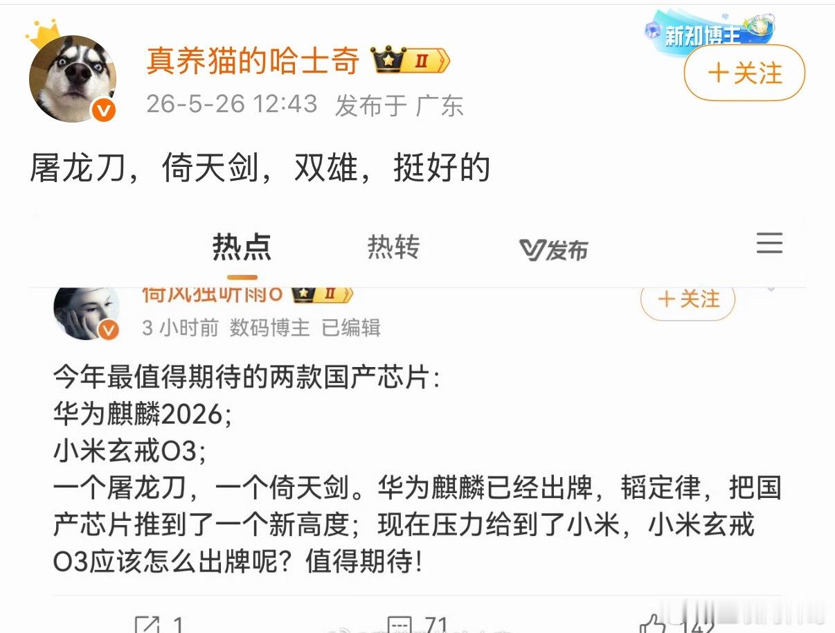 小米和华为芯片并列为国产芯片双雄。。。