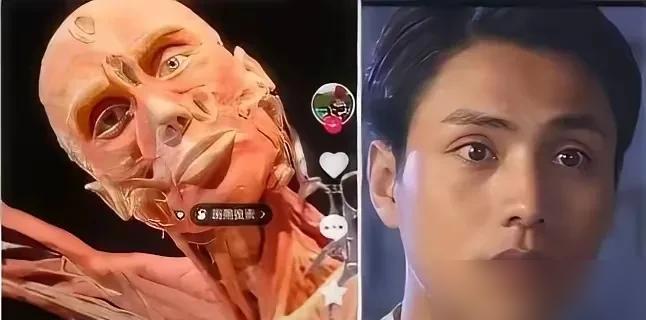 同框谢霆锋，陈坤状态差到离谱换做是你，和同龄谢霆锋站一起，脸垮成这样你忍得了