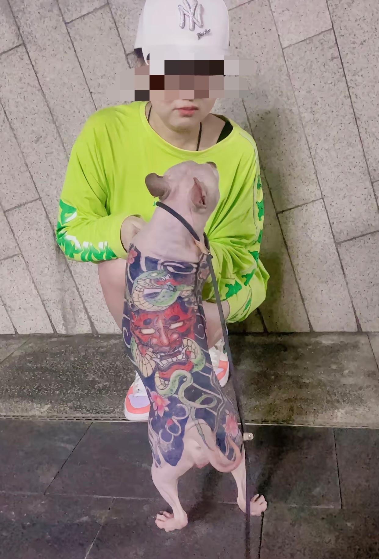亚宠展“花背社会犬”一出场，养狗的不养狗的都沉默了，连救助流浪狗的都表示忍不了，